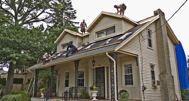 Best Storm Damage Roof Repair  in Tiffin, OH